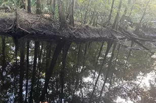 11309 SW 167th Cir, Brooker, FL 32622 - Photo 54