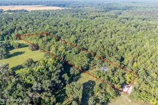 11309 SW 167th Cir, Brooker, FL 32622 - Photo 48