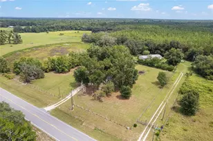 770 S County Road 21, Hawthorne, FL 32640 - Photo 78