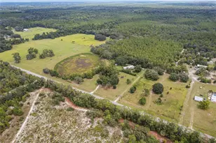 770 S County Road 21, Hawthorne, FL 32640 - Photo 84