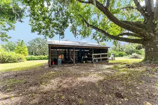 770 S County Road 21, Hawthorne, FL 32640 - Photo 64