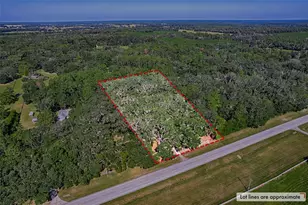 11916 NW State Road 45, High Springs, FL 32643 - Photo 40