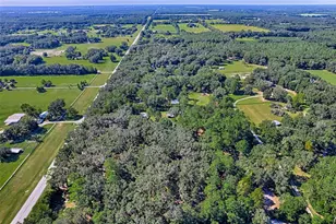 11916 NW State Road 45, High Springs, FL 32643 - Photo 36