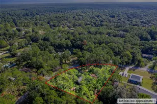 7801 SW 99th Ln, Gainesville, FL 32608 - Photo 26