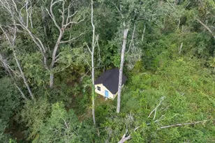 22205 N County Rd 349, O'Brien, FL 32071 - Photo 56