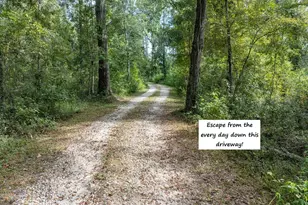 22205 N County Rd 349, O'Brien, FL 32071 - Photo 56