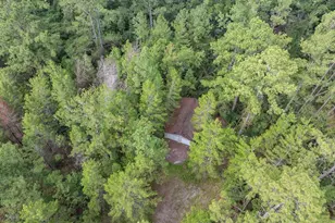 22205 N County Rd 349, O'Brien, FL 32071 - Photo 52