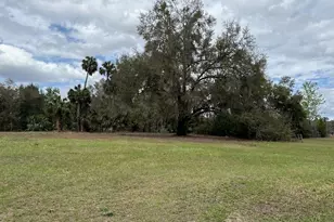 000 NE 184th Pl, Citra, FL 32113 - Photo 1