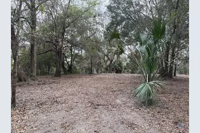 000 NE 184th Place, Citra, FL 32113 - Photo 18