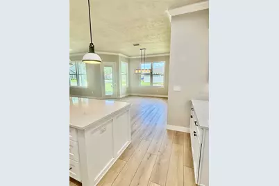 20488 NW 160th Lane, High Springs, FL 32643 - Photo 6