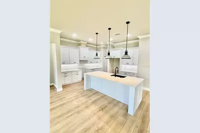 20488 NW 160th Lane, High Springs, FL 32643 - Photo 8