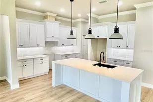 20488 NW 160th Ln, High Springs, FL 32643 - Photo 8