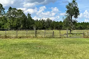 17411 NE County Road 1471, Waldo, FL 32694 - Photo 24