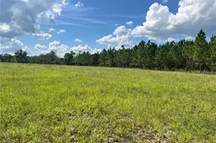 17411 NE County Road 1471, Waldo, FL 32694 - Photo 38