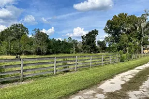 17411 NE County Road 1471, Waldo, FL 32694 - Photo 10