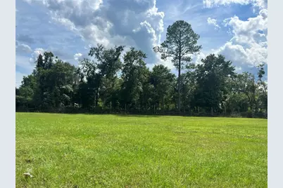 17411 NE County Road 1471, Waldo, FL 32694 - Photo 4