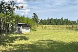 17411 NE County Road 1471, Waldo, FL 32694 - Photo 22