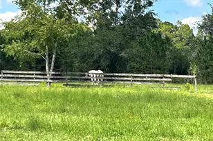 17411 NE County Road 1471, Waldo, FL 32694 - Photo 12