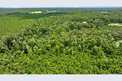 694 SW Quarter Ln, Fort White, FL 32038 - Photo 32