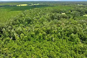 694 SW Quarter Ln, Fort White, FL 32038 - Photo 32