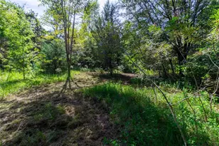 5301 NW County Rd 235, Alachua, FL 32615 - Photo 14