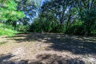 5301 NW County Rd 235, Alachua, FL 32615 - Photo 16
