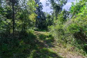 5301 NW County Rd 235, Alachua, FL 32615 - Photo 10