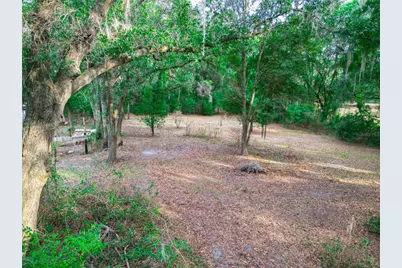 5301 NW County Road 235, Alachua, FL 32615 - Photo 56