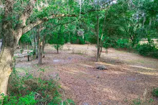 5301 NW County Rd 235, Alachua, FL 32615 - Photo 56