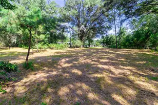 5301 NW County Rd 235, Alachua, FL 32615 - Photo 8