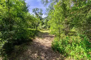 5301 NW County Rd 235, Alachua, FL 32615 - Photo 12