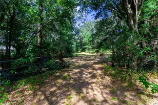 5301 NW County Rd 235, Alachua, FL 32615 - Photo 8