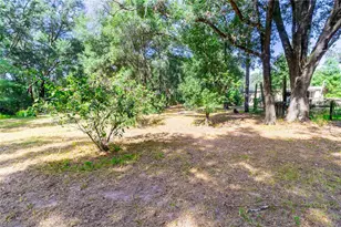 5301 NW County Rd 235, Alachua, FL 32615 - Photo 6