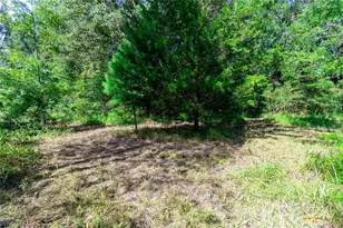 5301 NW County Rd 235, Alachua, FL 32615 - Photo 14