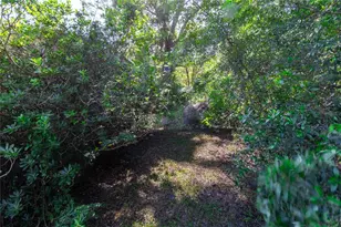 5301 NW County Rd 235, Alachua, FL 32615 - Photo 20