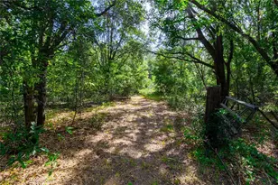 5301 NW County Rd 235, Alachua, FL 32615 - Photo 8