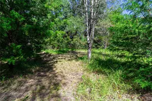 5301 NW County Rd 235, Alachua, FL 32615 - Photo 16