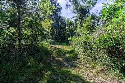 5301 NW County Road 235, Alachua, FL 32615 - Photo 12