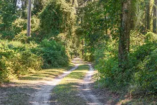 23109 NW 227th Dr, High Springs, FL 32643 - Photo 72