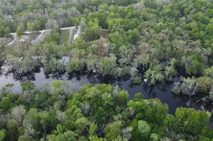 29002 River Run Rd, Branford, FL 32008 - Photo 32