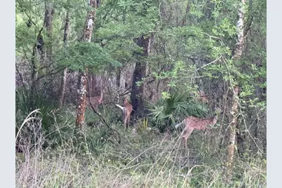 29002 River Run Road, Branford, FL 32008 - Photo 40