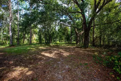 14865 SW 92nd Way, Lake Butler, FL 32054 - Photo 26