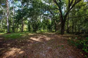 14865 SW 92nd Way, Lake Butler, FL 32054 - Photo 26