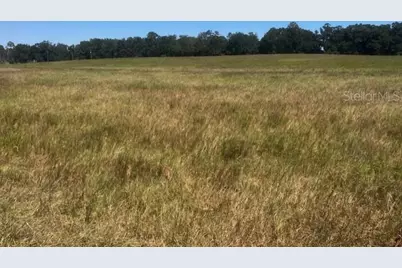 3830 NW 31st Avenue, Bell, FL 32619 - Photo 4