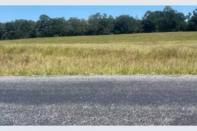 3830 NW 31st Avenue, Bell, FL 32619 - Photo 1