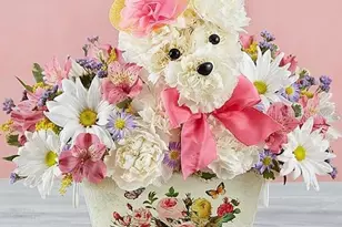 2505 NW 6th St, Gainesville, FL 32605 - Photo 16