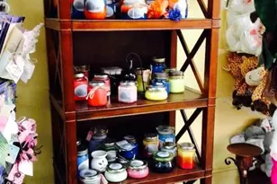 2505 NW 6th St, Gainesville, FL 32605 - Photo 2