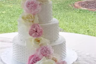 2505 NW 6th St, Gainesville, FL 32605 - Photo 4