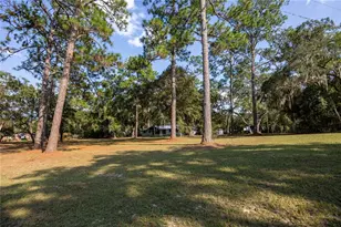 8453 Nittany Dr, Melrose, FL 32666 - Photo 38