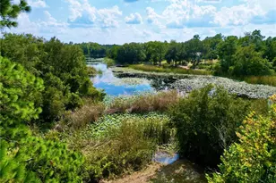 137 Oak Circle, Interlachen, FL 32148 - Photo 38